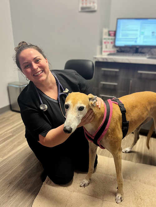 Deela Dicello, DVM
